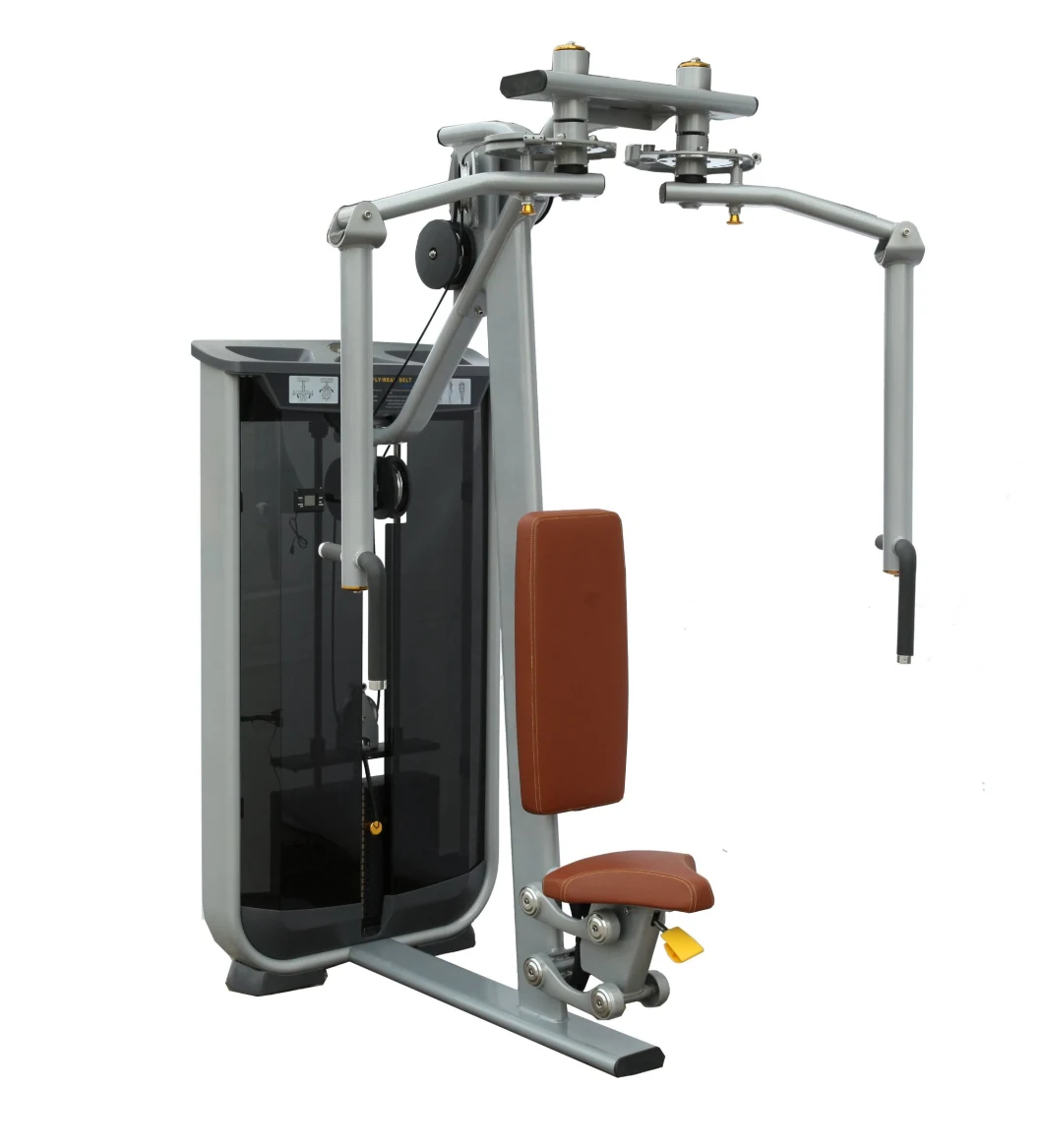 Best Selling Factory/Manufacturer Direct Sale Fitness Equipment/Gym Machine Rear Delt/Pec Fly with Ce Approved (AXD-7005)