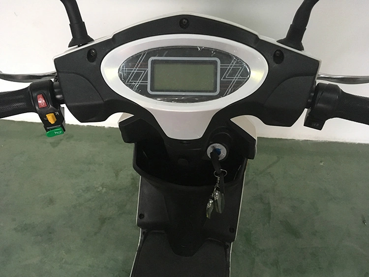 200W~500W 48V Outdoor Electric Bike with Pedal, Rear Expending Brake