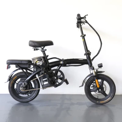 Mini Ebike pieghevole economica 48V 350W Smart con pedali Bici da strada elettriche da 14 pollici per adulti