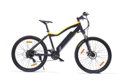 Mountain bike elettrica ad alte prestazioni con sistema di pedalata assistita e acceleratore a pollice